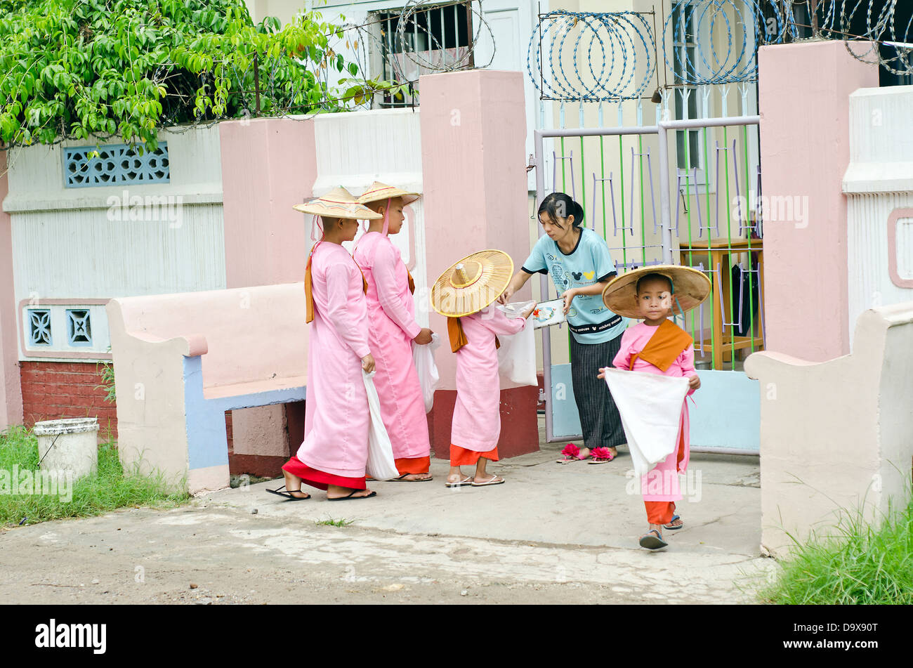 Nonnen, die betteln, Hsipaw, Birma Stockfoto