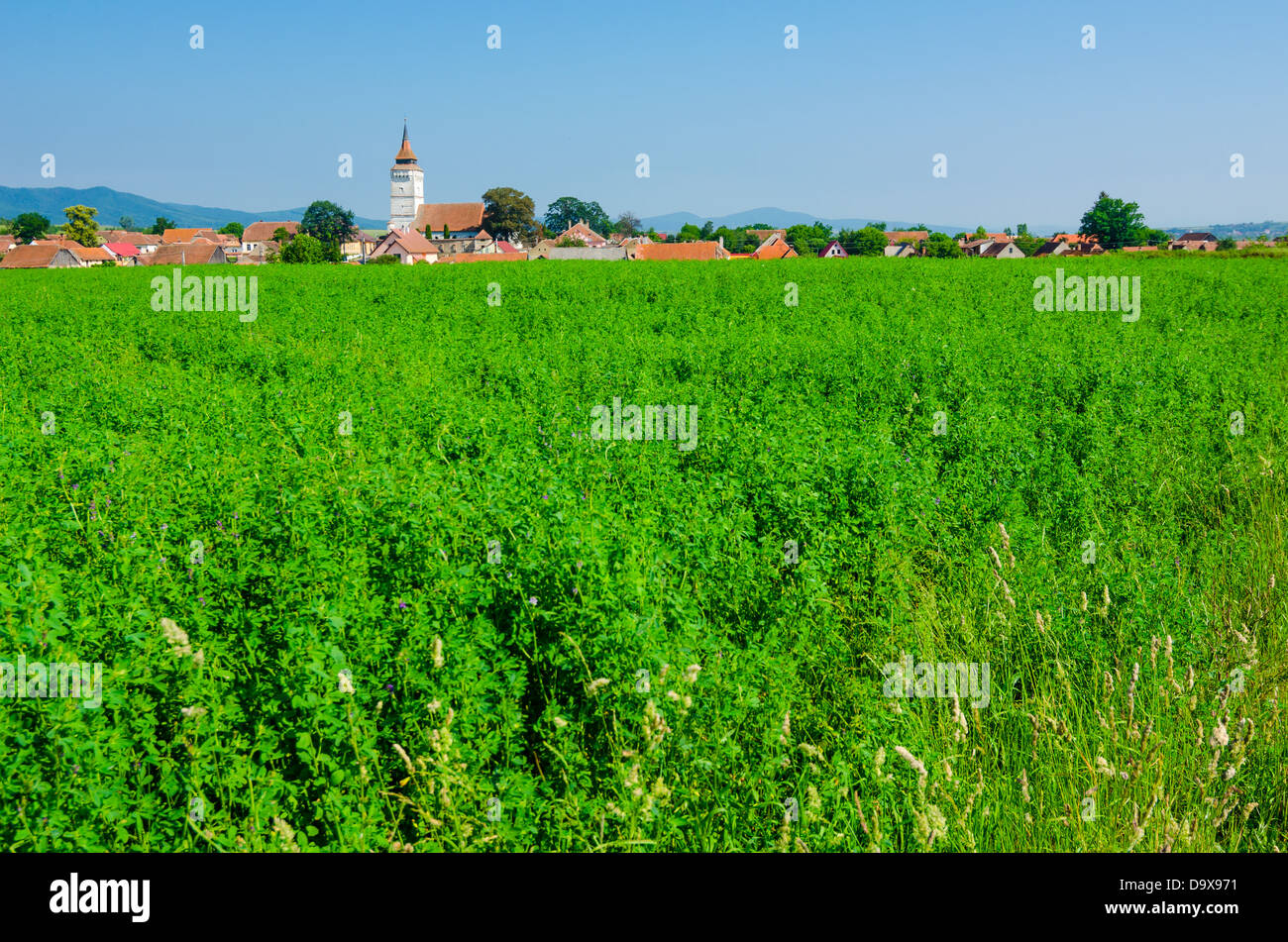 Rotbav, Brasov: Wunderschönes grün Ansicht in einem Siebenbürgischen Dorf, mit der befestigten Kirche im Hintergrund. Stockfoto