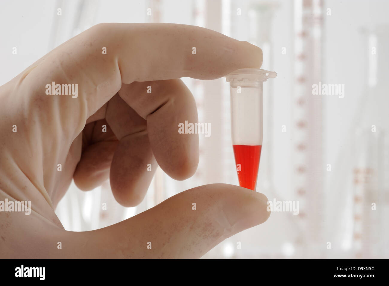 Reagenzglas mit roter Flüssigkeit im Labor Stockfoto