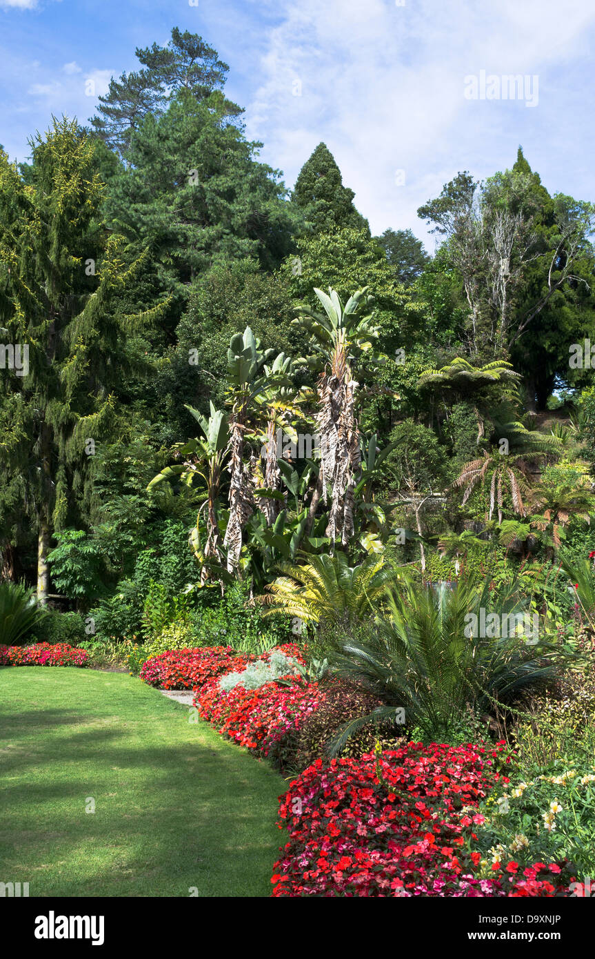 dh Pukekura Park NEW PLYMOUTH NEW ZEALAND Botanic Gardens Blumen und Baum Parkland Blumengarten Stockfoto