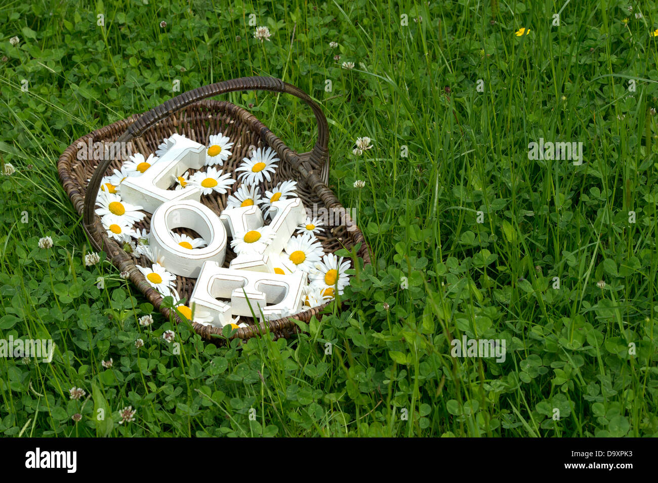 LIEBE. Holzbuchstaben mit Todesurteil in einem Weidenkorb zu blockieren Stockfoto