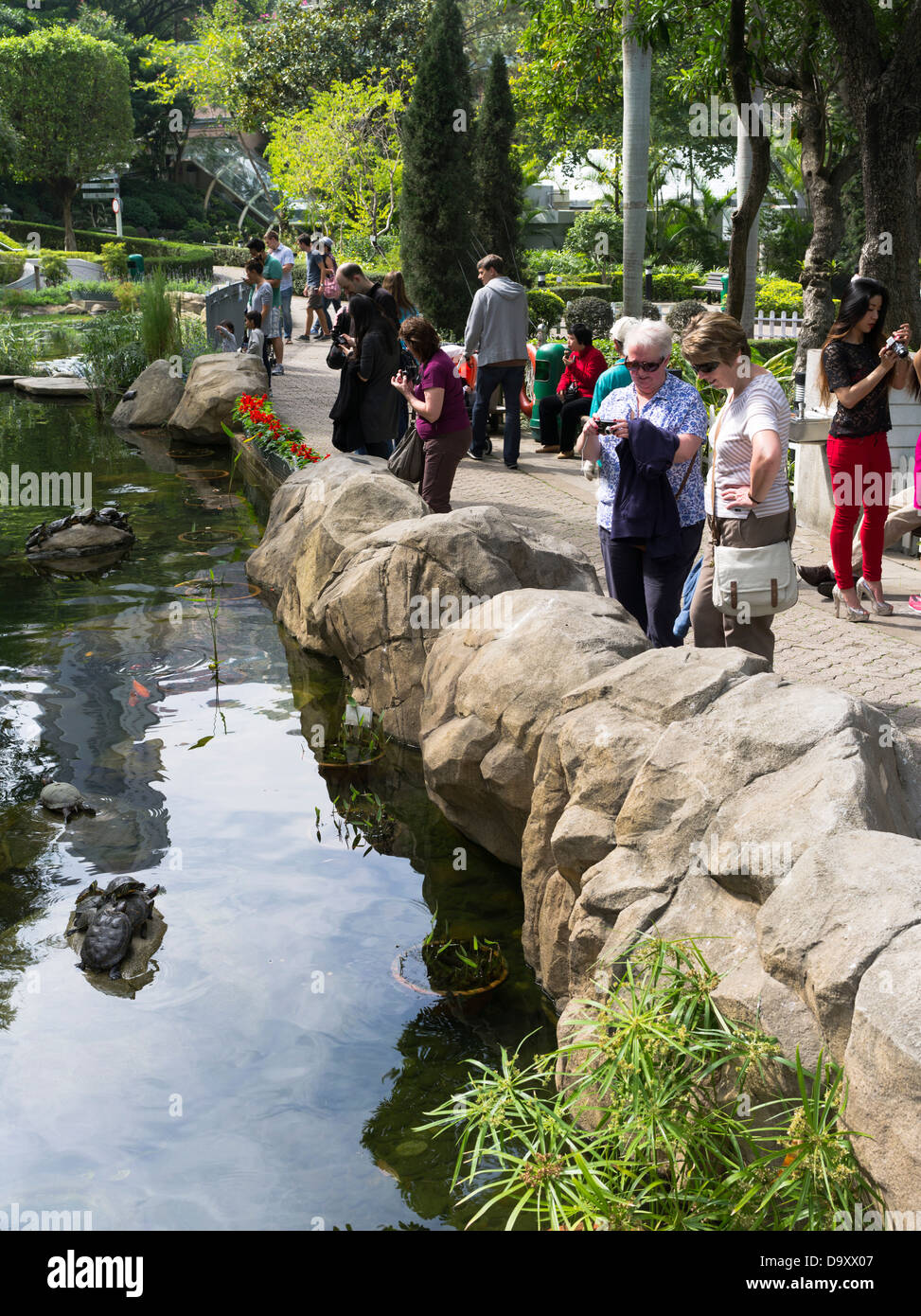 Dh Hong Kong Park CENTRAL HONGKONG Frau Touristen im Hong Kong Park See fotografieren Fischteichen Urlaub Stockfoto