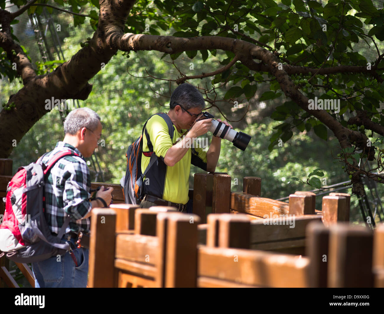 dh Edward Youde Aviary HONG KONG PARK HONG KONG Asain Männer Fotografen fotografieren Vögel in Voliere touristischen Urlaub Fotos Vogelbild Stockfoto