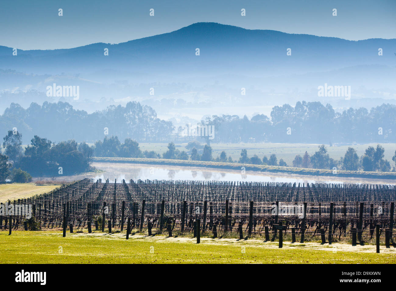 Weingut Domaine Chandon an einem kalten Wintermorgen im Yarra Valley, Victoria, Australien Stockfoto