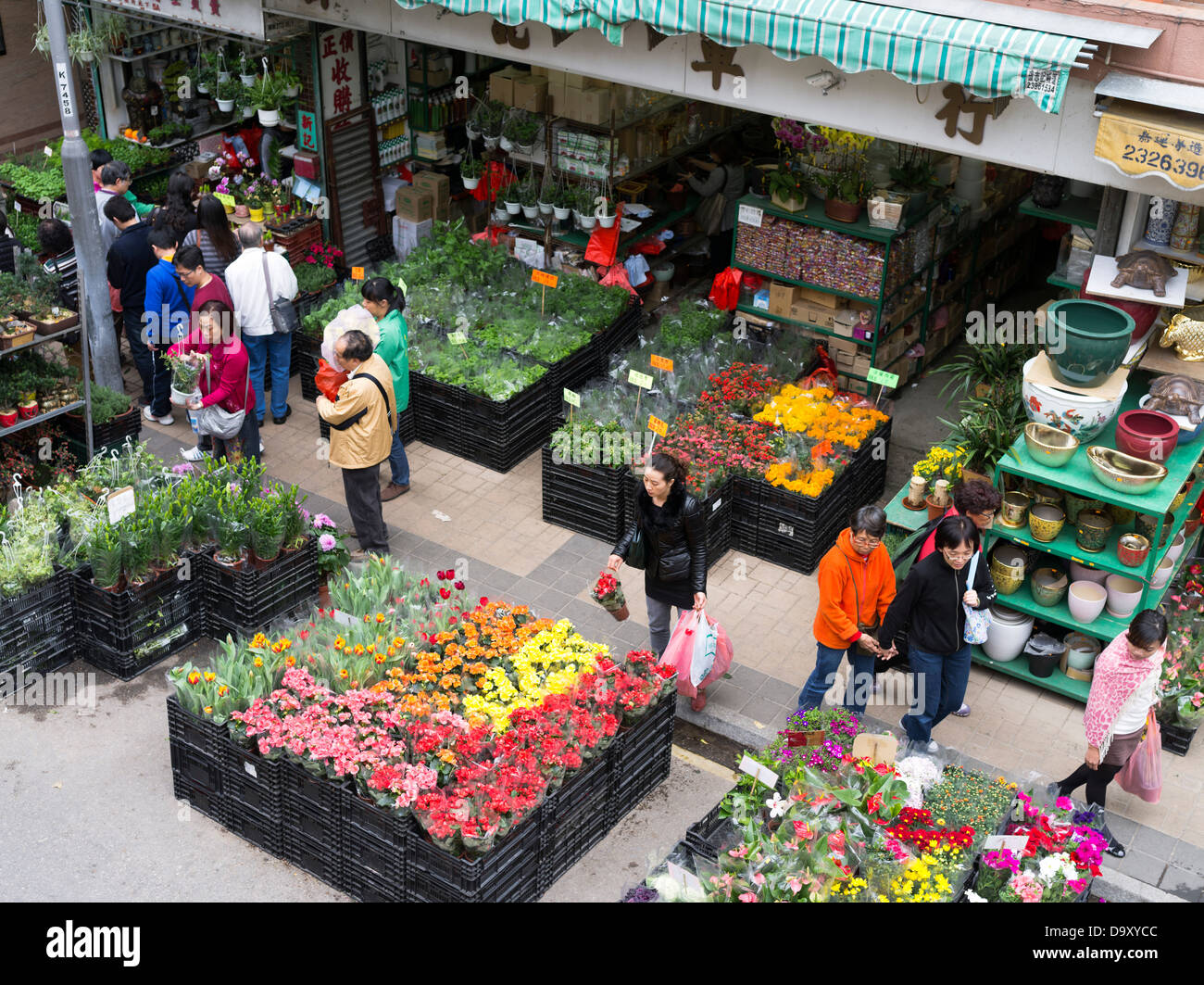 dh Flower Market Mongkok Hongkong Leute in Straße Blume Shop Chinese New Year Blumen Stockfoto