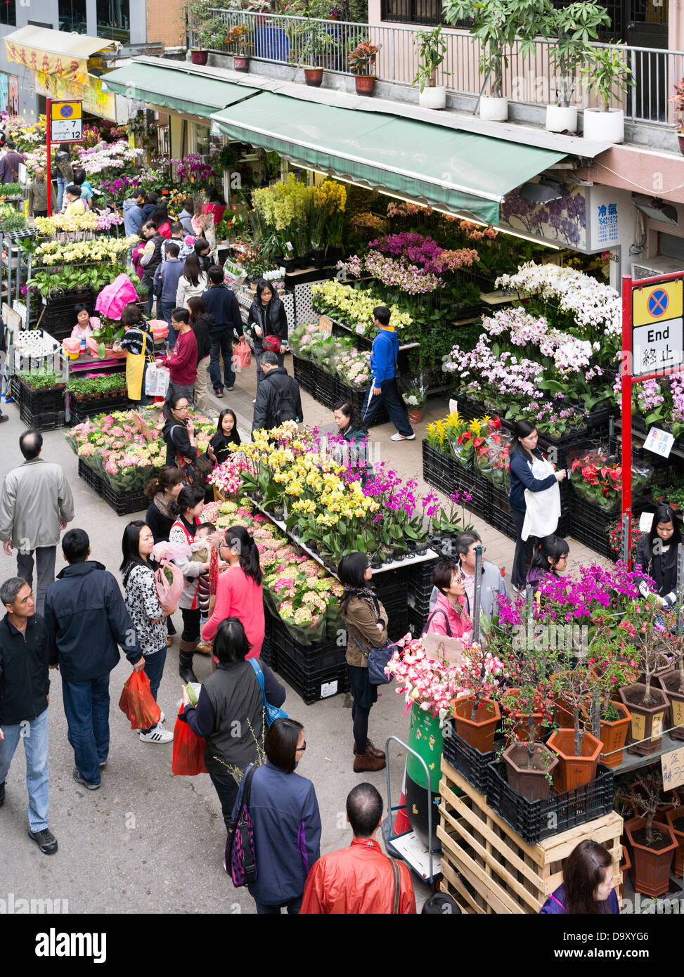 dh Blumenmarkt MONG KOK HONGKONG Menschen in Straßenblumenläden Chinesisches Neujahr Blumenstände mongkok china Stand Stockfoto