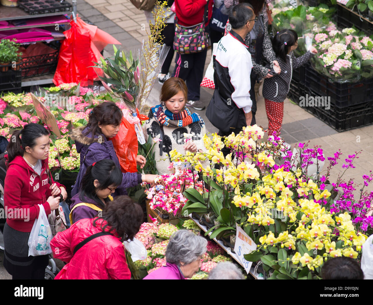 dh Blumenmarkt MONG KOK HONGKONG Chinesische Frauen kaufen Blumen am Blumenstand Menschen einkaufen china Stockfoto