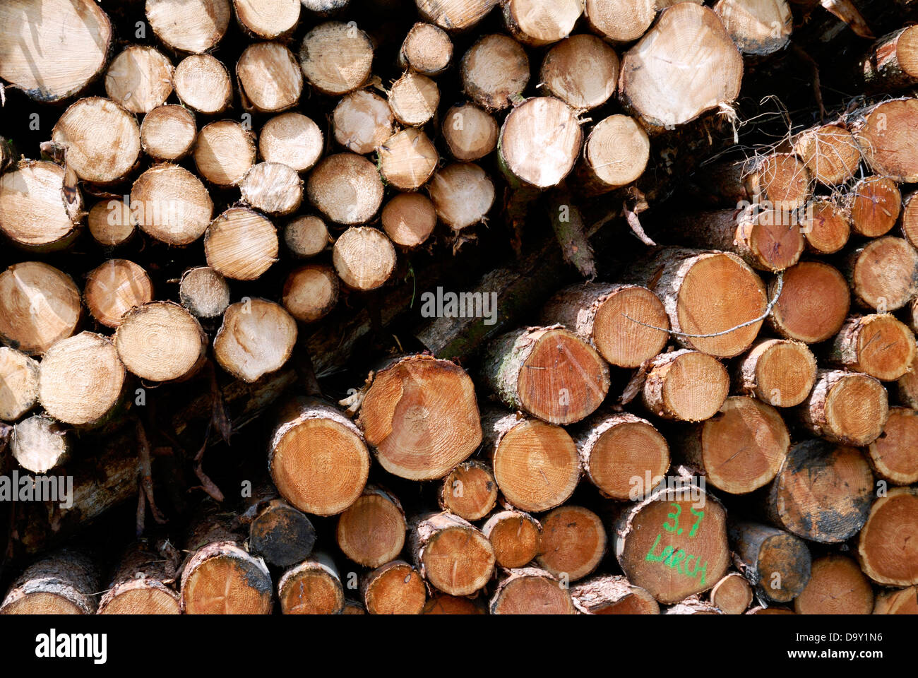 Holz-Hof-Schottland Stockfoto