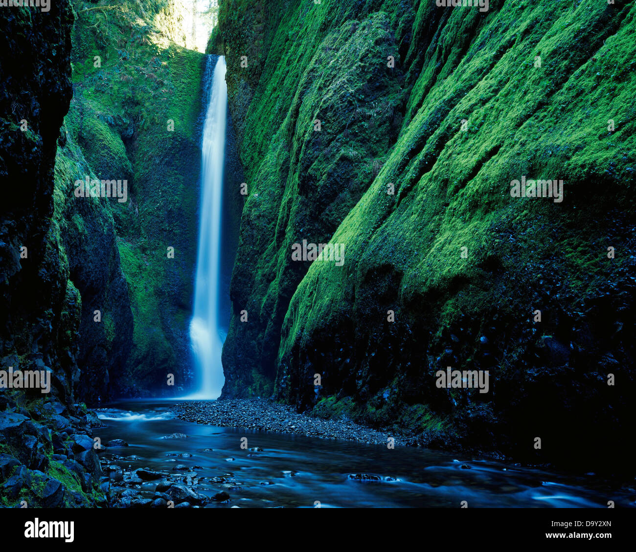 Oneonta Falls tief in Oneonta Schlucht, Columbia River Gorge National Scenic Area, Mount Hood National Forest, Oregon. Stockfoto