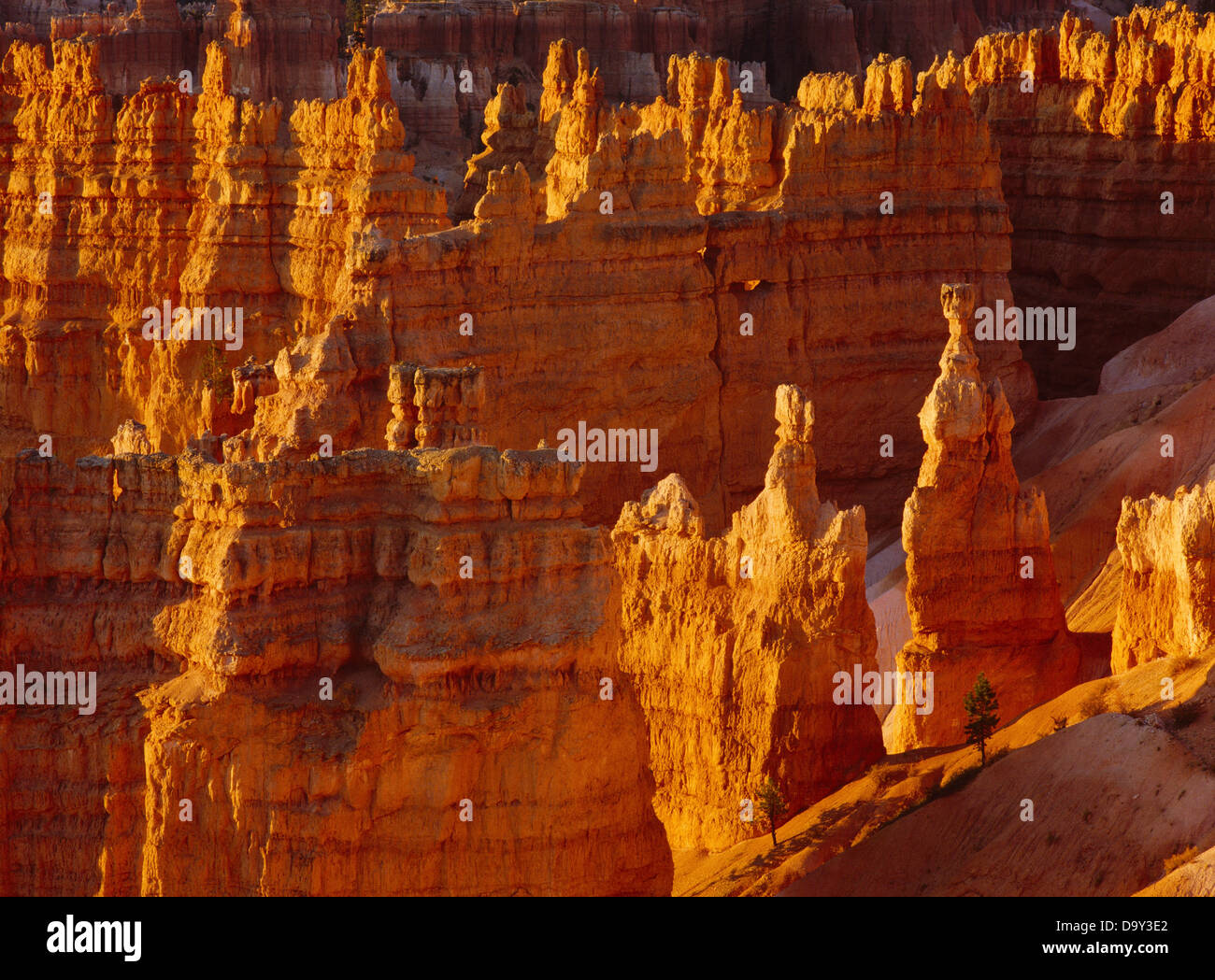 Morgen hell leuchtenden Thor Hammer Umgebung Hoodoos Ansicht von Rim Paunsaugunt Plateau zwischen Sunrise Sunset Point Stockfoto