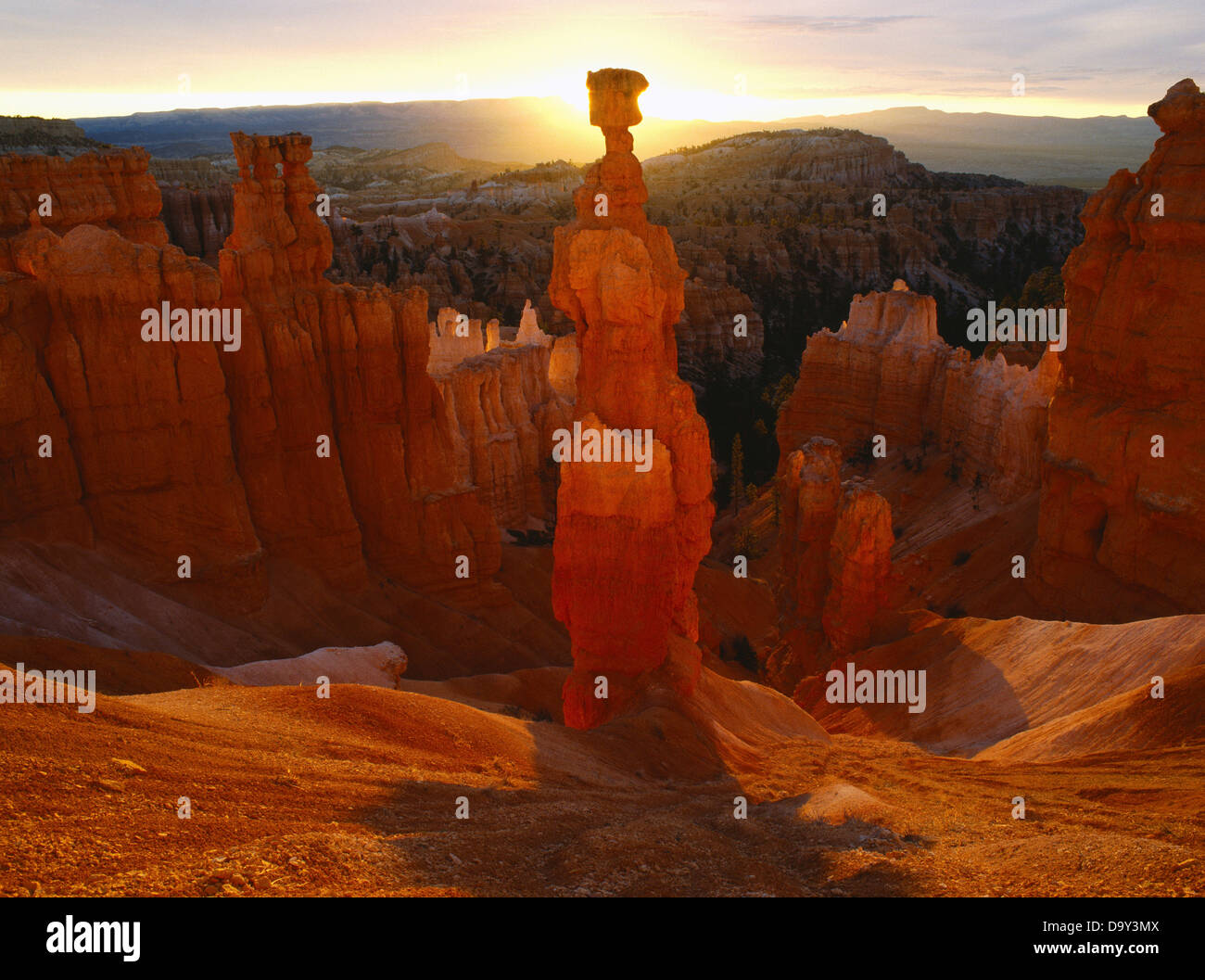 Thors Hammer strahlt im warmen Lichtschein Sonnenaufgang, Bryce-Canyon-Nationalpark, Utah. Stockfoto