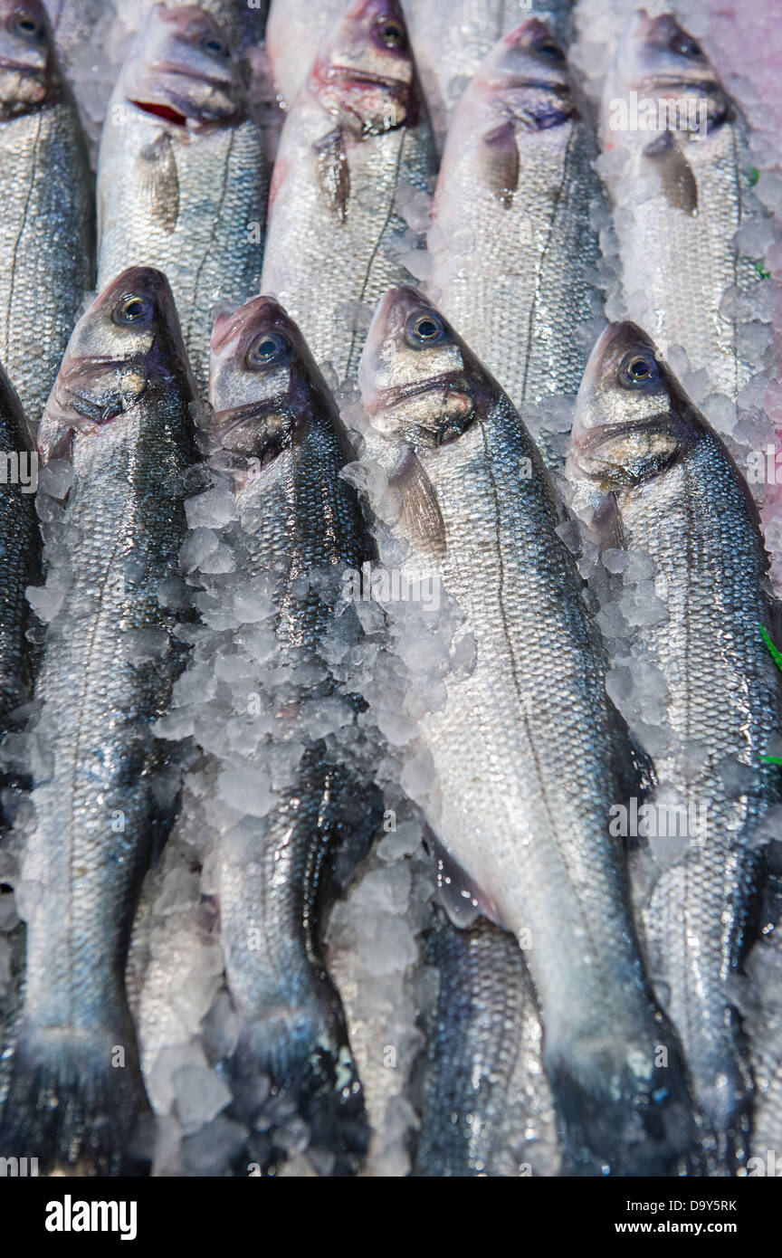 frischer Fisch auf dem Fischmarkt Stockfoto