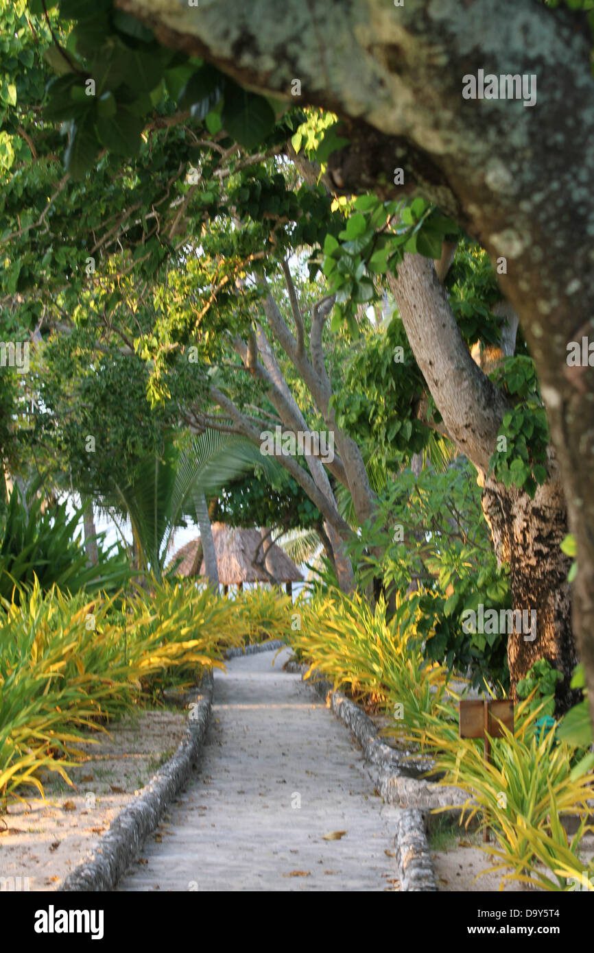 Pfad im tropischen Garten Stockfoto