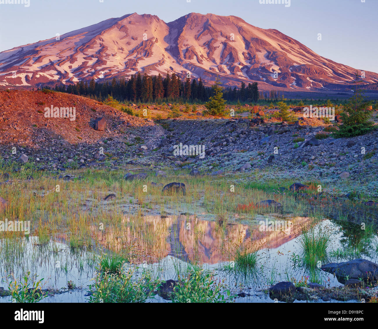 USA Washington Zustand Mount St Helens Nationale Vulkanische Monument Lahar vulkanischen Gipfel von Mount St. Helens spiegelt sich im kleinen Teich Stockfoto