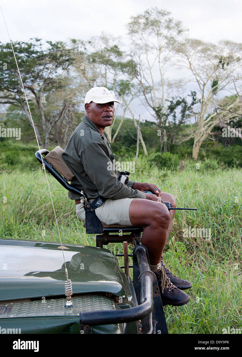 Co-Pilot sitzt am Fahrzeugsitz Blick nach vorne von Land Rover im Wildreservat, Südafrika befestigt. Stockfoto
