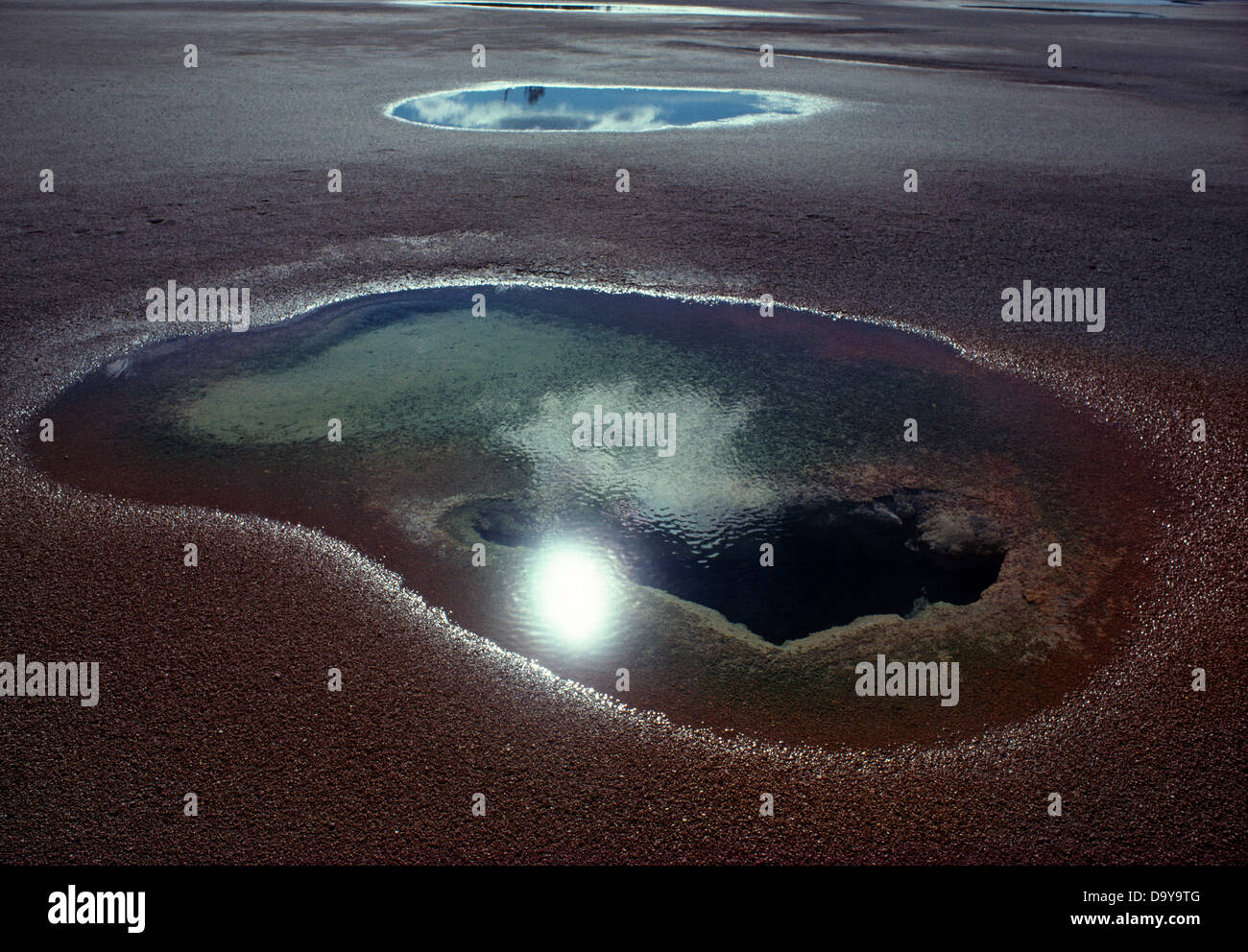 USA, Wyoming, Yellowstone-Nationalpark, Norris Geyser Basin, sauren Sprudel auf ein hundert Quellen Plain Stockfoto