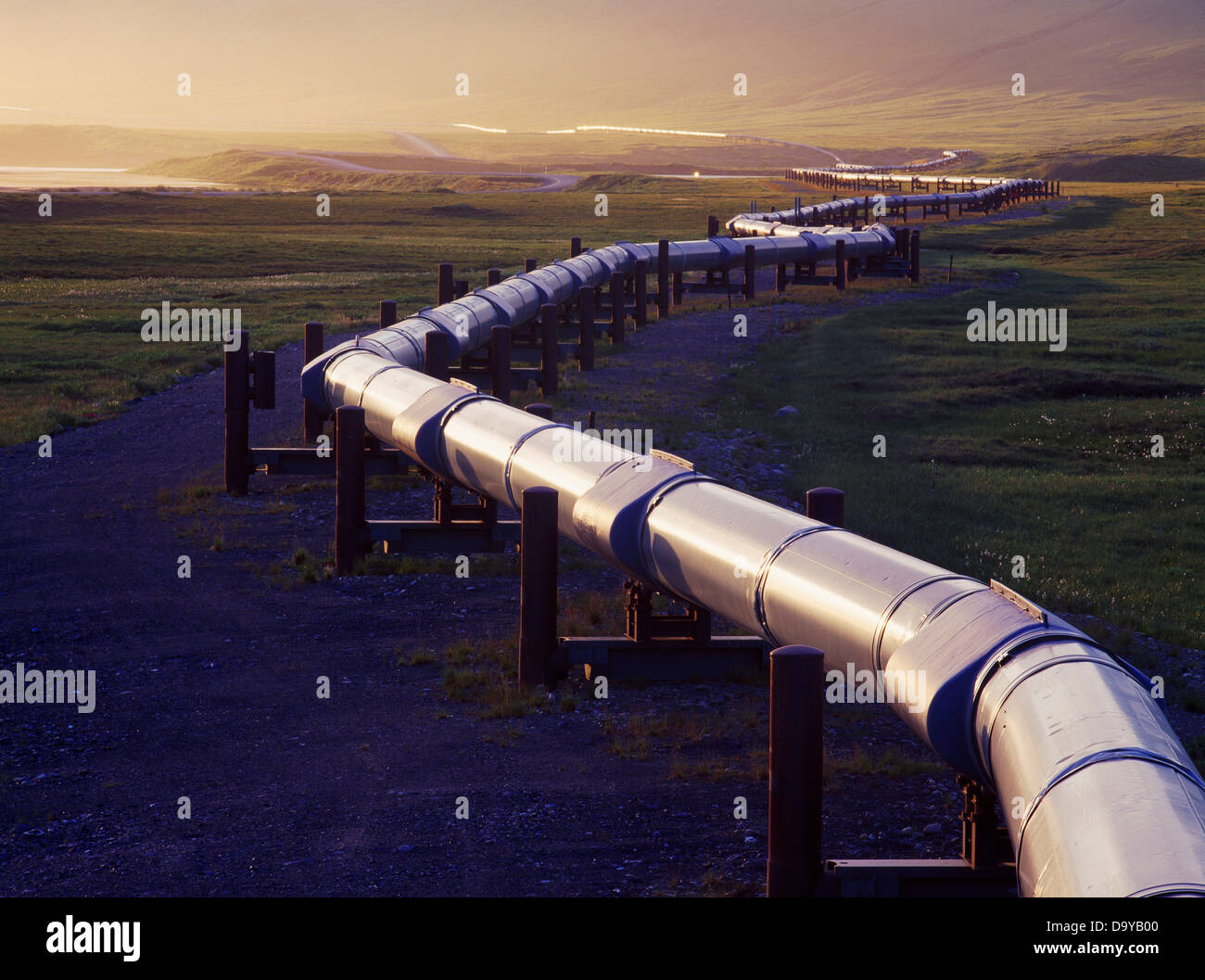 Abendlicht beleuchtet die Trans-Alaska-Pipeline nördlich von Pump Station 4, Alaska. Stockfoto