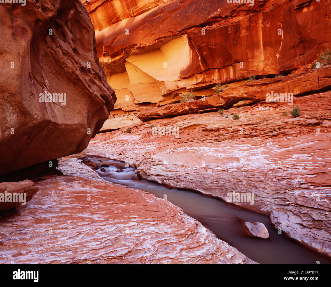 Der Paria River schneiden durch Moeanave Formation Triassic Periode Paria Canyon-Vermilion Cliffs Wilderness Vermilion Cliffs Stockfoto
