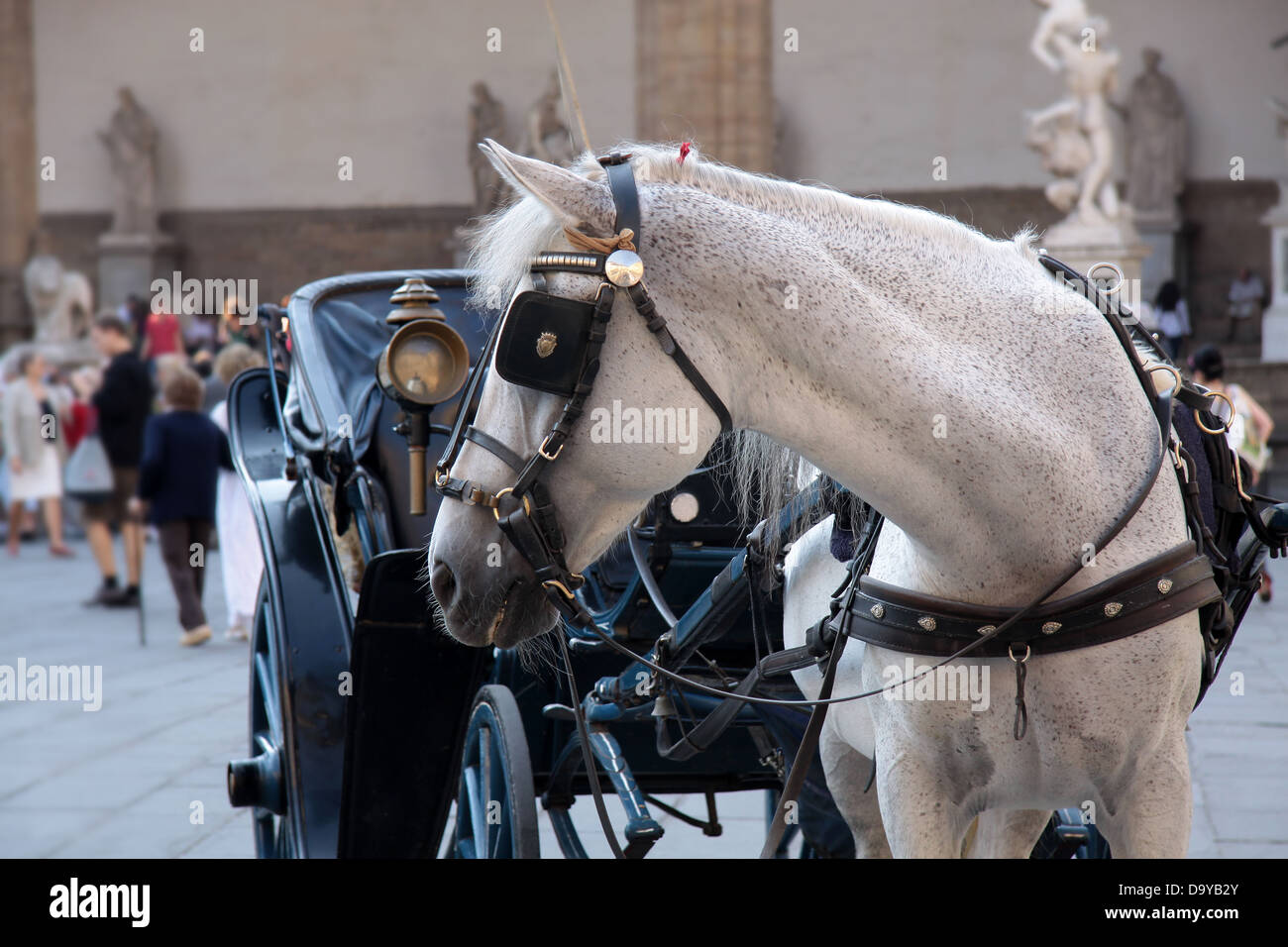 Pferdekutsche auf Piazza della Signoria in Florenz Stockfoto