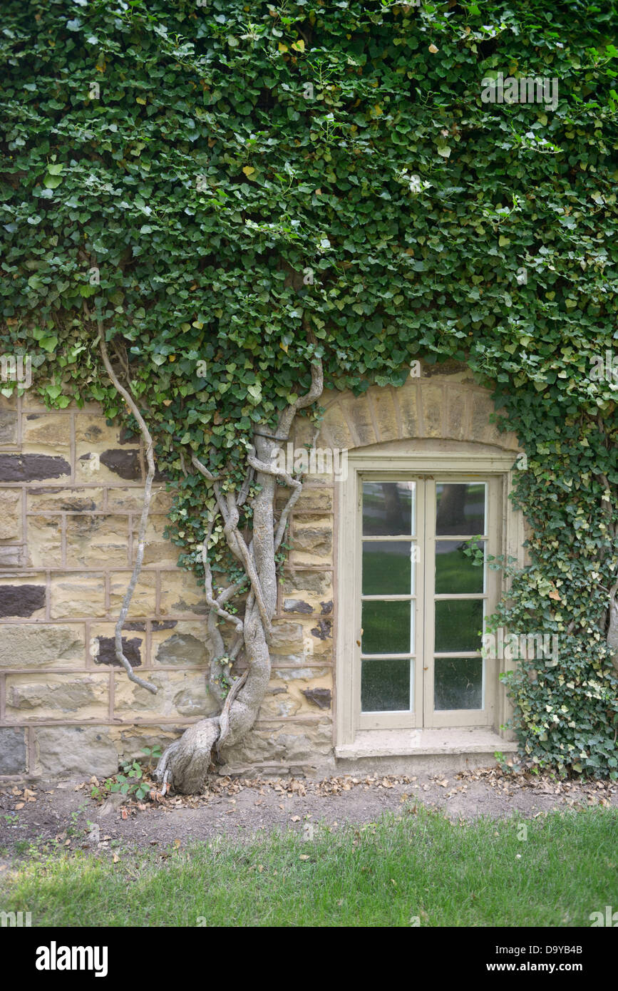 Princeton University Stockfoto Princeton University Stockfoto