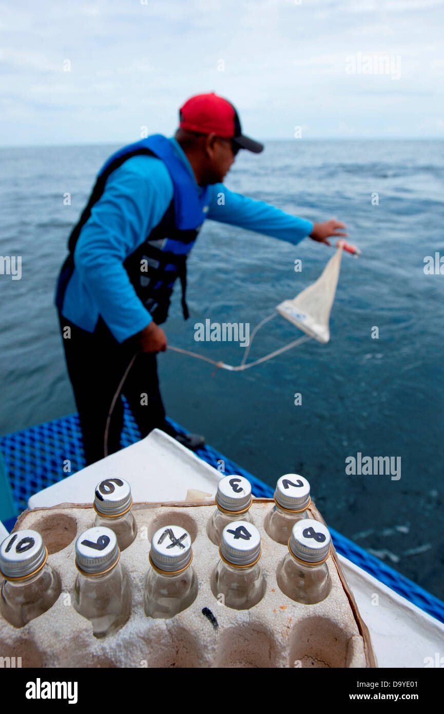 Fischereibehörde Probenahmen für Wasserqualität testen, Brunei Stockfoto