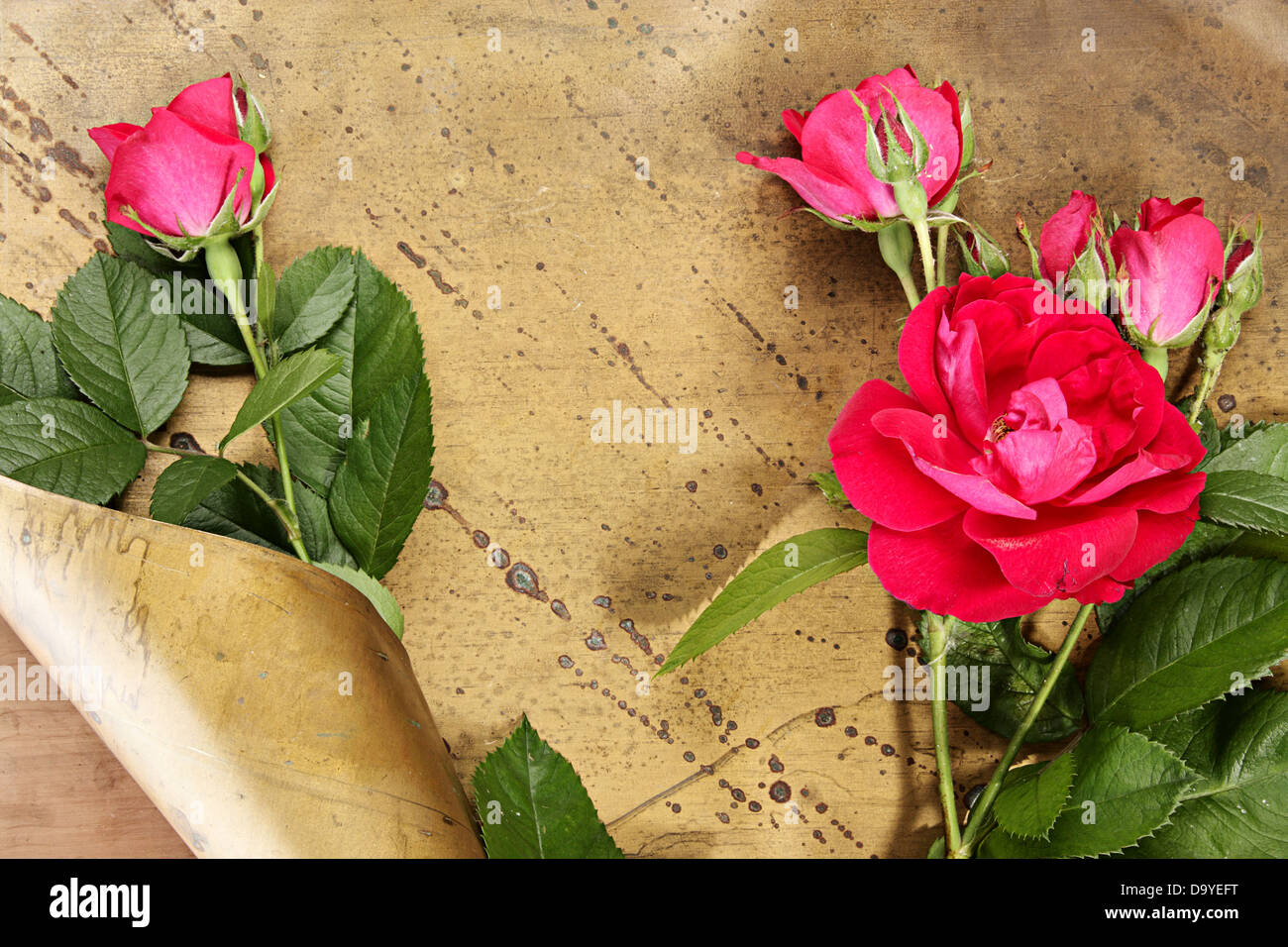 Blume abstrakt. Rose auf dreiste Hintergrund Stockfoto