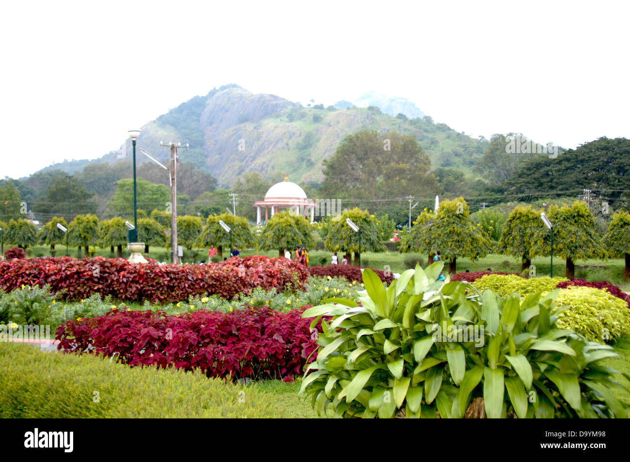 Flora und Fauna von Malampuzha Dam Garten in Malampuzha, Palakad, Kerala, Indien Stockfoto