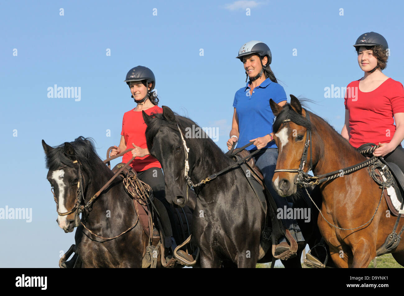 Drei junge Reiter auf der Rückseite des Paso Fino Pferde Stockfoto