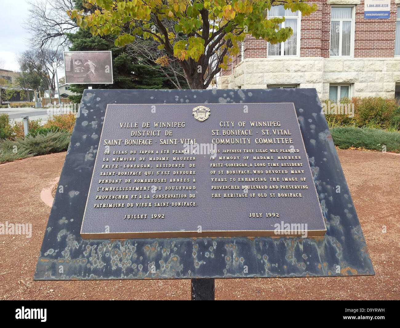 Beschilderung für japanische Baum Flieder im Jardin de Skulpturen in Winnipeg, Manitoba Stockfoto