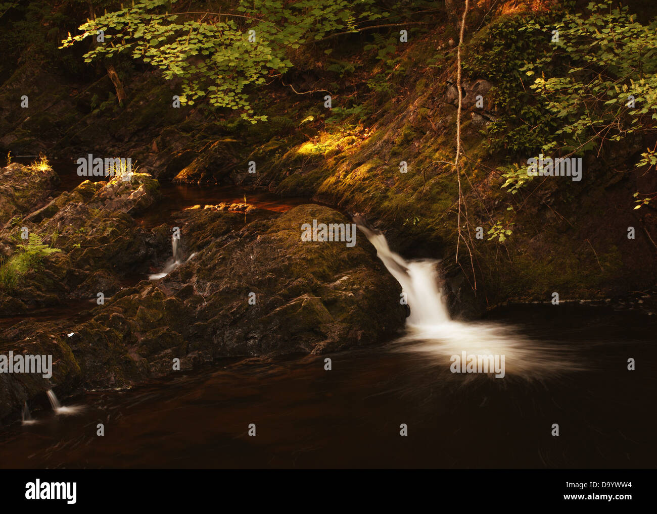 Malerische Bild des kleinen Bach und Wasserfall mit Steinen, Moos, Baum Zweige und Blätter. Schattigen Bereich mit gefleckten Sonnenlicht. Stockfoto