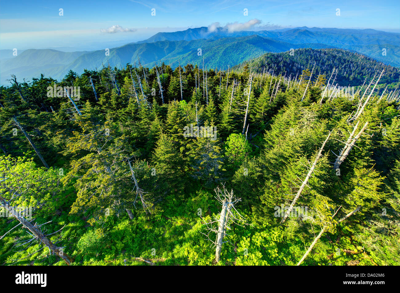 Blick von der Aussichtsplattform des Clingmans Kuppel in den Great Smoky Mountains. Stockfoto