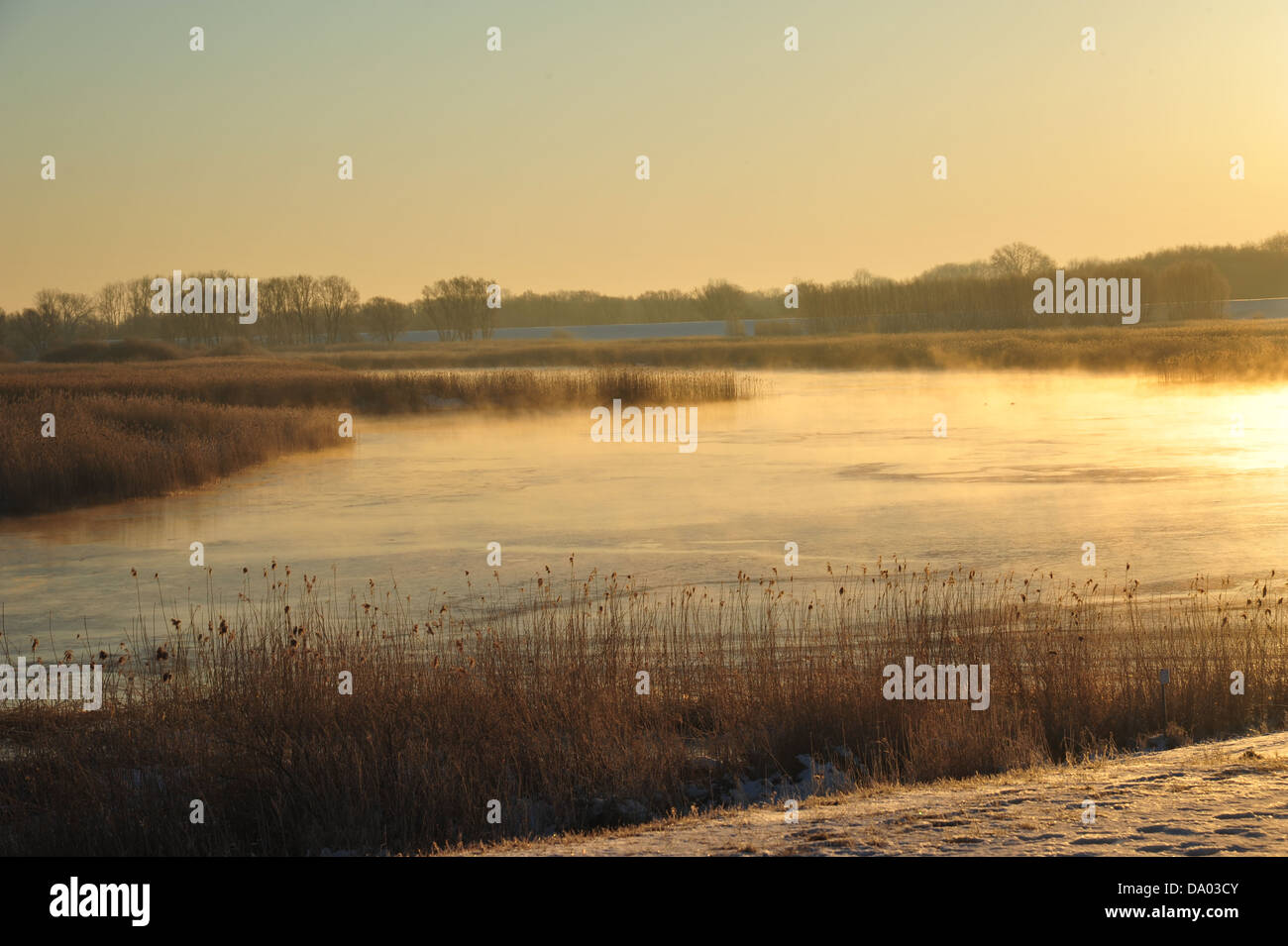 Fluss Elbe an Wintermorgen in der Nähe von Hoopte Stockfoto