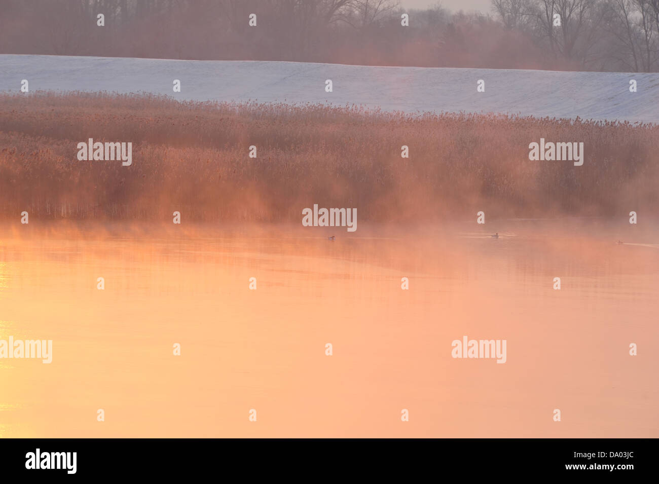 Fluss Elbe an Wintermorgen in der Nähe von Hoopte Stockfoto