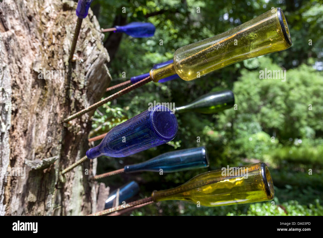 Ein Flaschenbaum; Es wird vermutet, dass die Flaschen abfangen können, böse Geister in der Nacht, die dann am nächsten Tag Sonnenlicht zerstört werden. Stockfoto