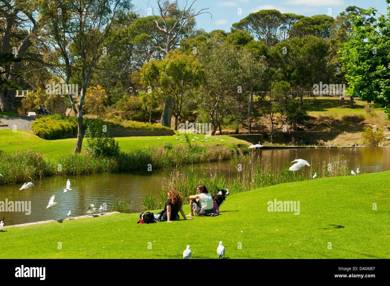 Creekside in Burghausen, Fleurieu Peninsula, South Australia, Australien Stockfoto