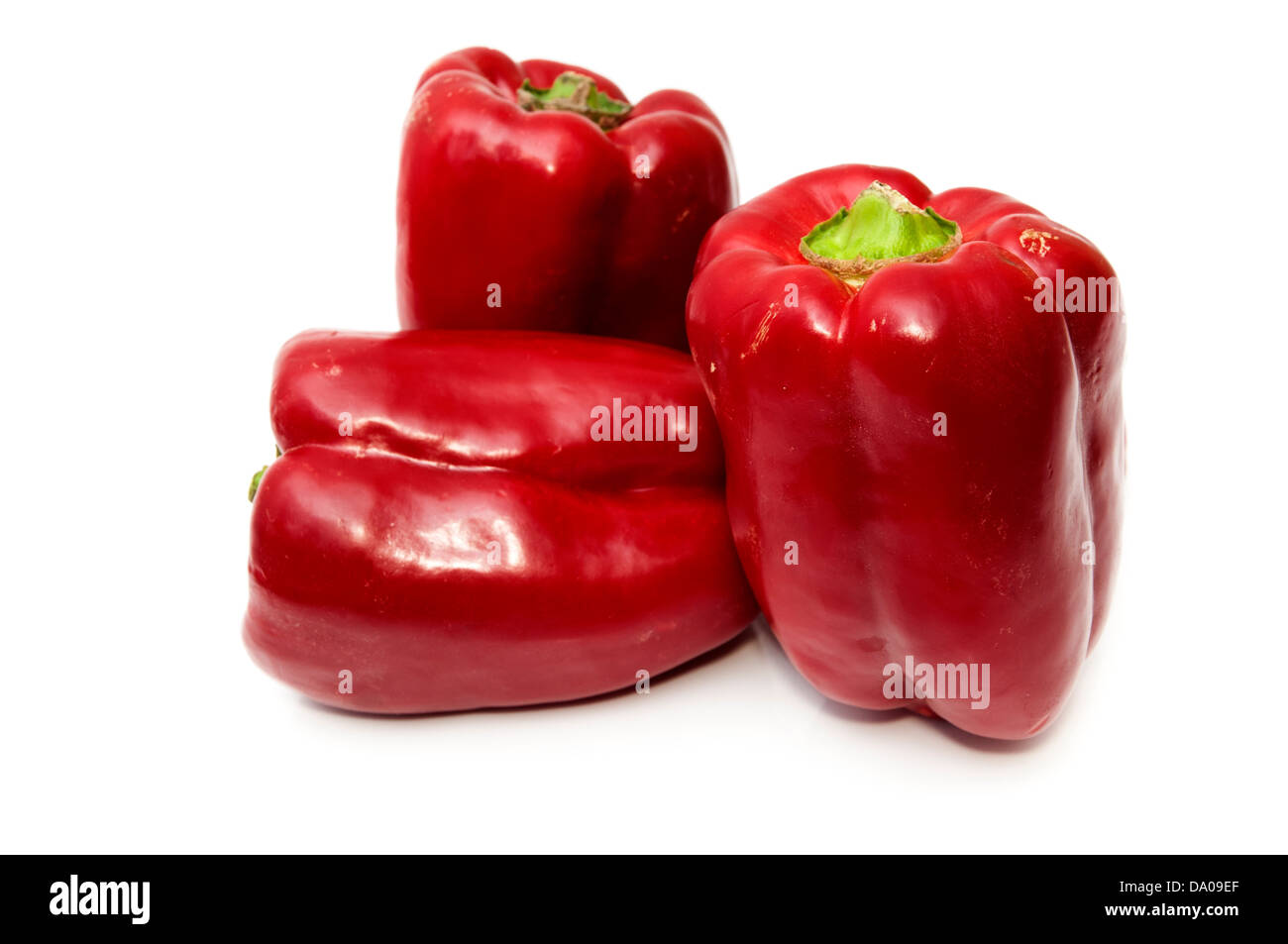 rote Paprika auf weißem Hintergrund Stockfoto