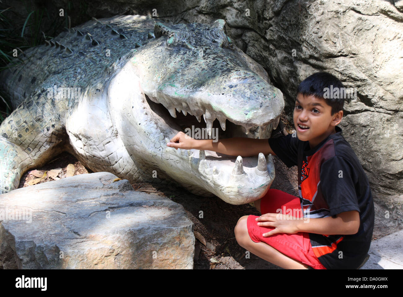 Krokodil Essen junge Stockfoto