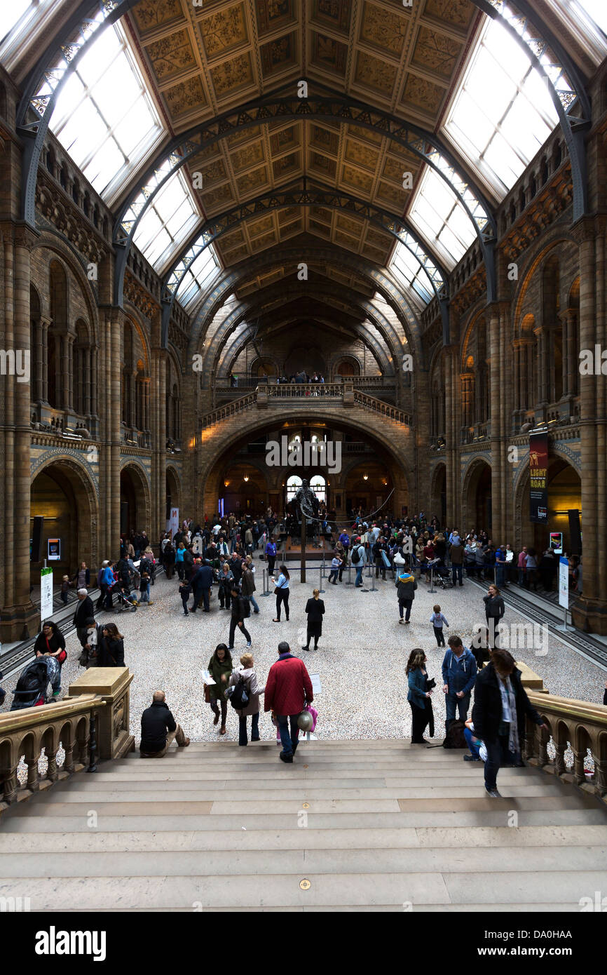 Natural History Museum in London Stockfoto