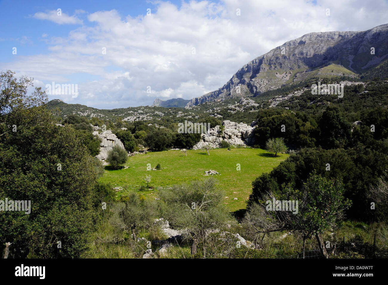 Landschaft zwischen Caimari und Pollenca, Mallorca, Spanien Stockfoto