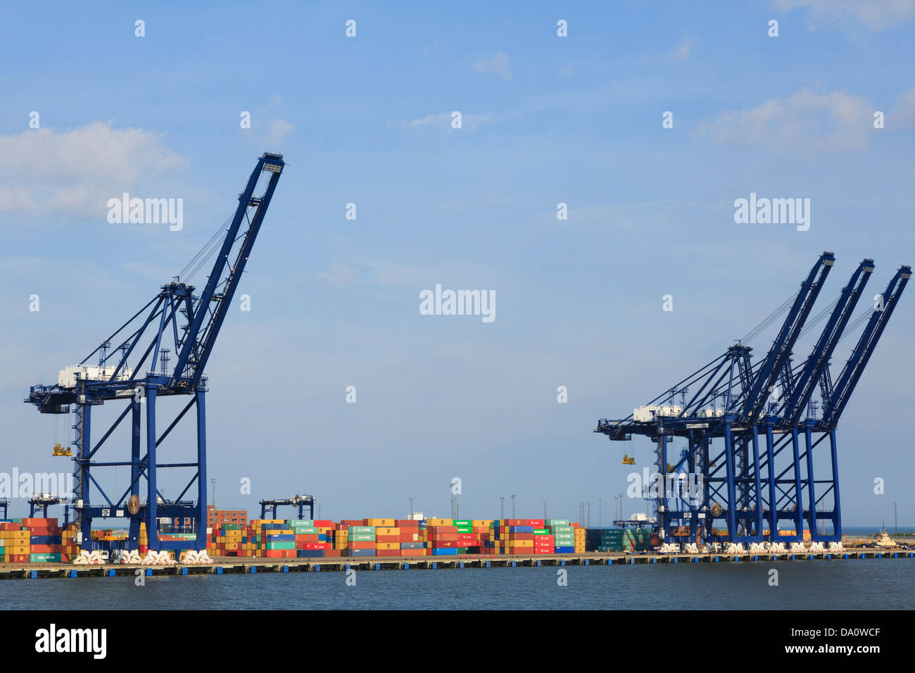 Gantry Kran zum heben von Containern auf dockside Terminal der größten Containerhafen in Großbritannien. Hafen von Felixstowe Suffolk England Großbritannien Großbritannien Stockfoto
