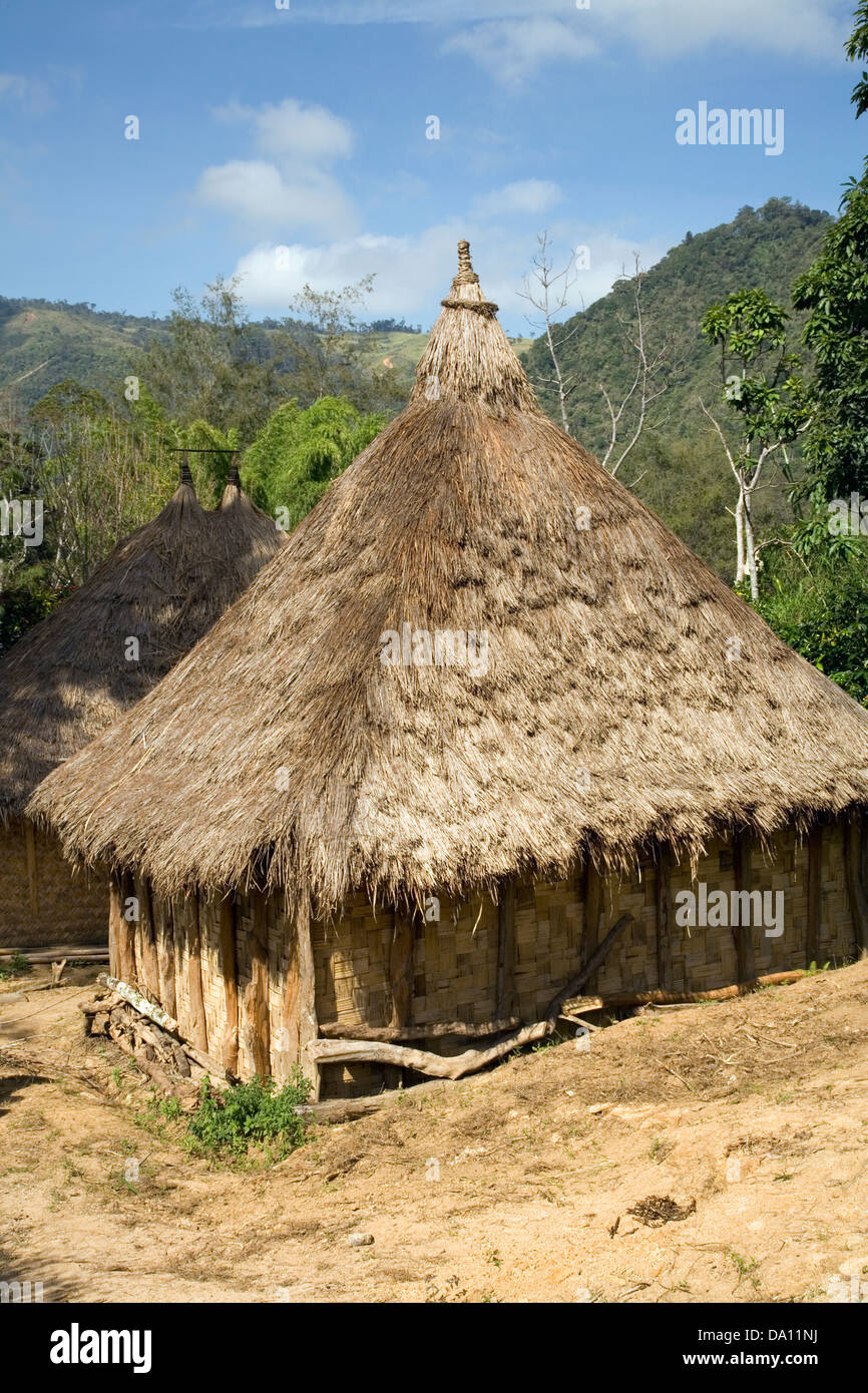 Eine Hochland-Wohnung strohgedeckten und gewebte Gras, Kemase Dorf, Lufa Bezirk Eastern Highlands Province (Papua-Neuguinea). Stockfoto