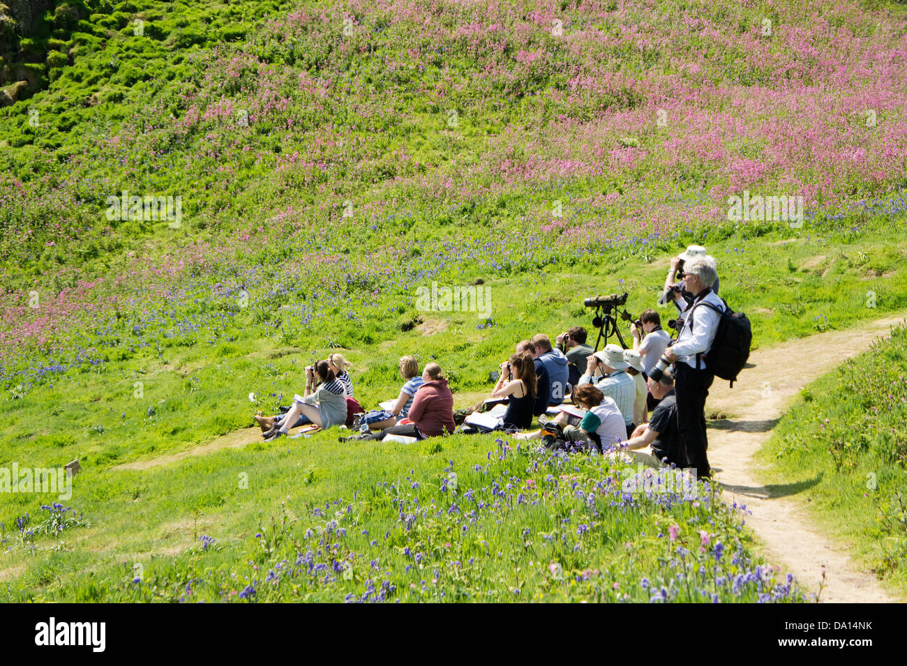 Gruppe von Ornithologen auf Skomer Island, Pemrokeshire, West Wales, Großbritannien Stockfoto