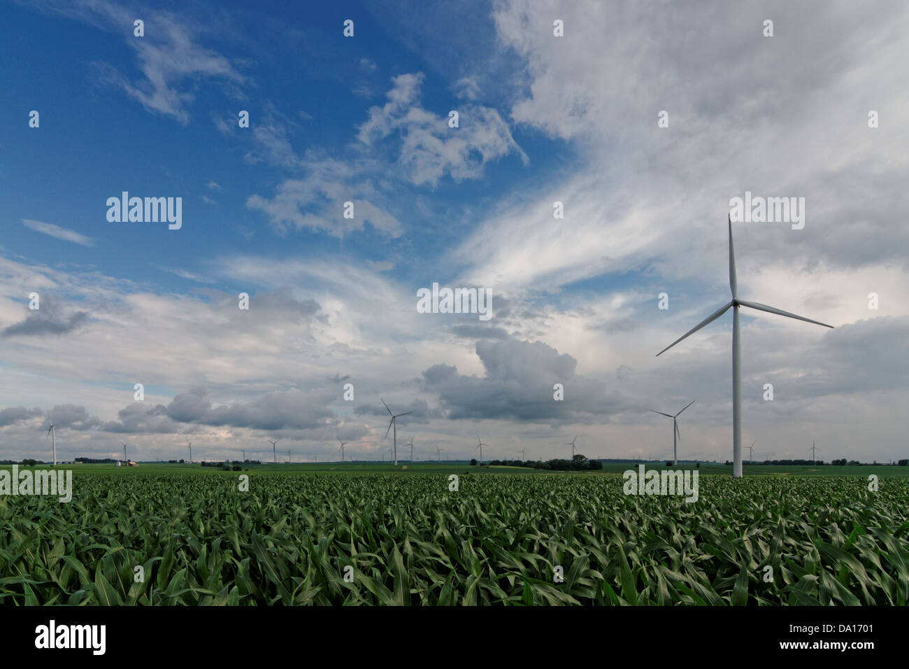 Wind-Turbinen bewege den Mauszeiger über einem Kornfeld Stockfoto