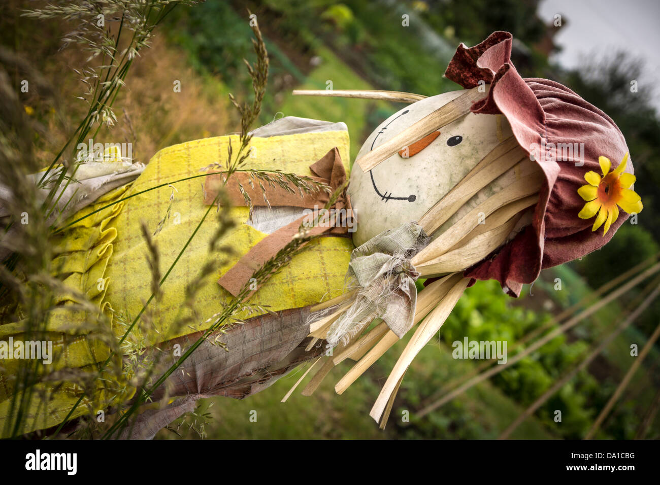Eine verwitterte Zuteilung Vogelscheuche blickt auf hohe Gräser. Stockfoto