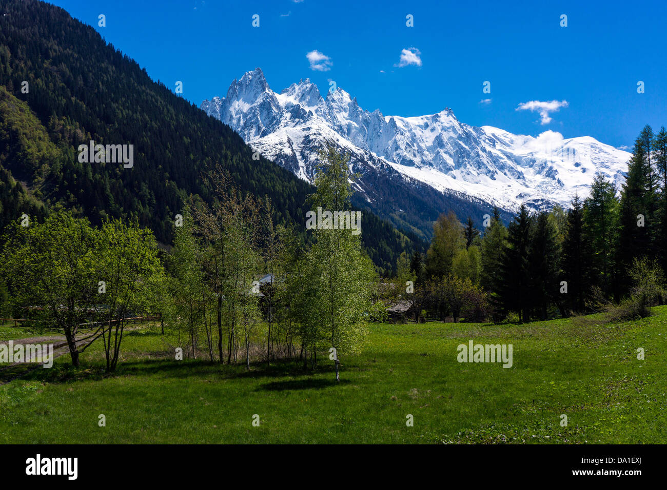 Chamonix Aiguilles von Chamonix Mont-Blanc Argentiere gesehen Stockfoto