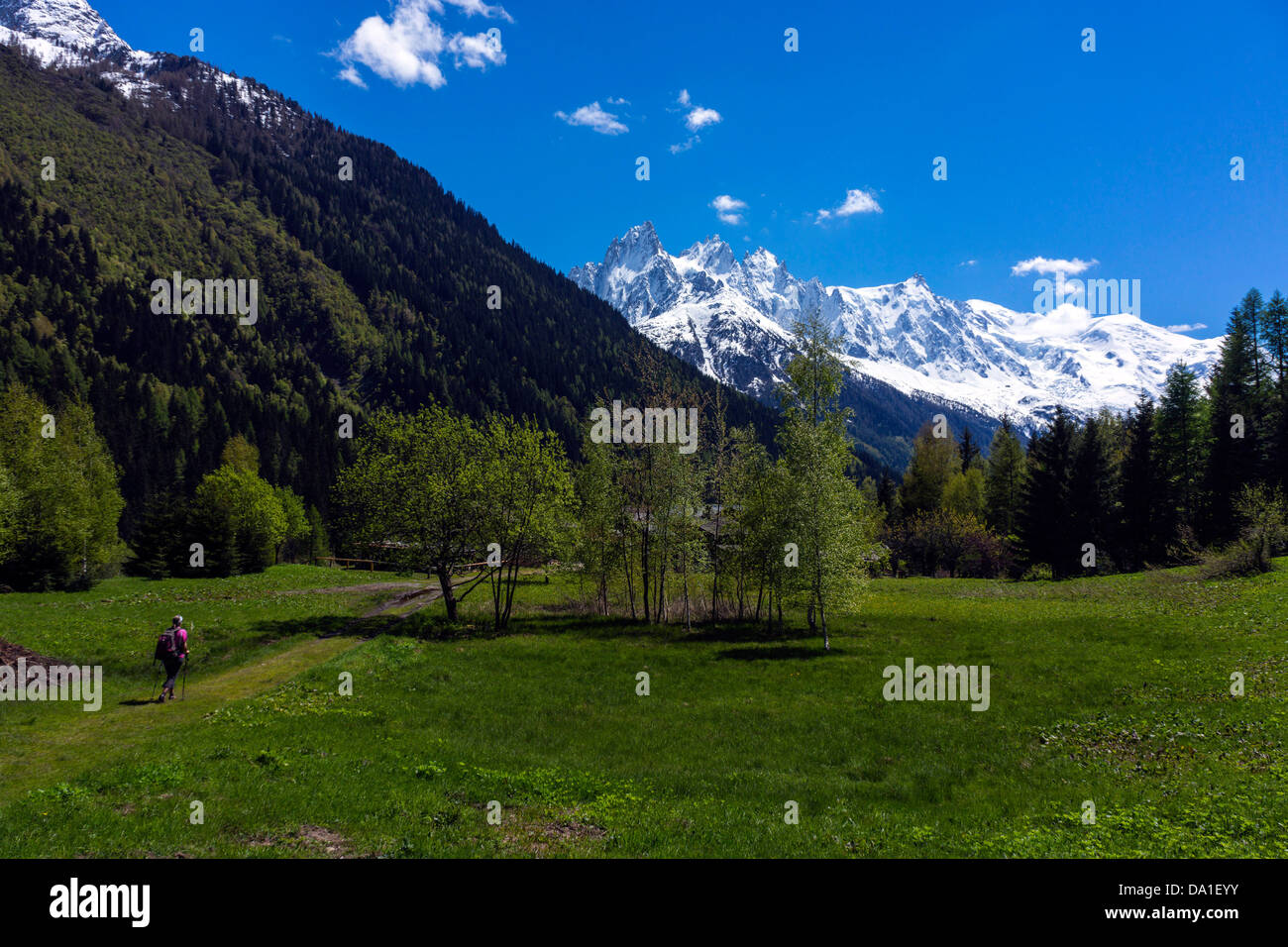 Chamonix Aiguilles von Argentiere, Chamonix Mont Blanc gesehen Stockfoto