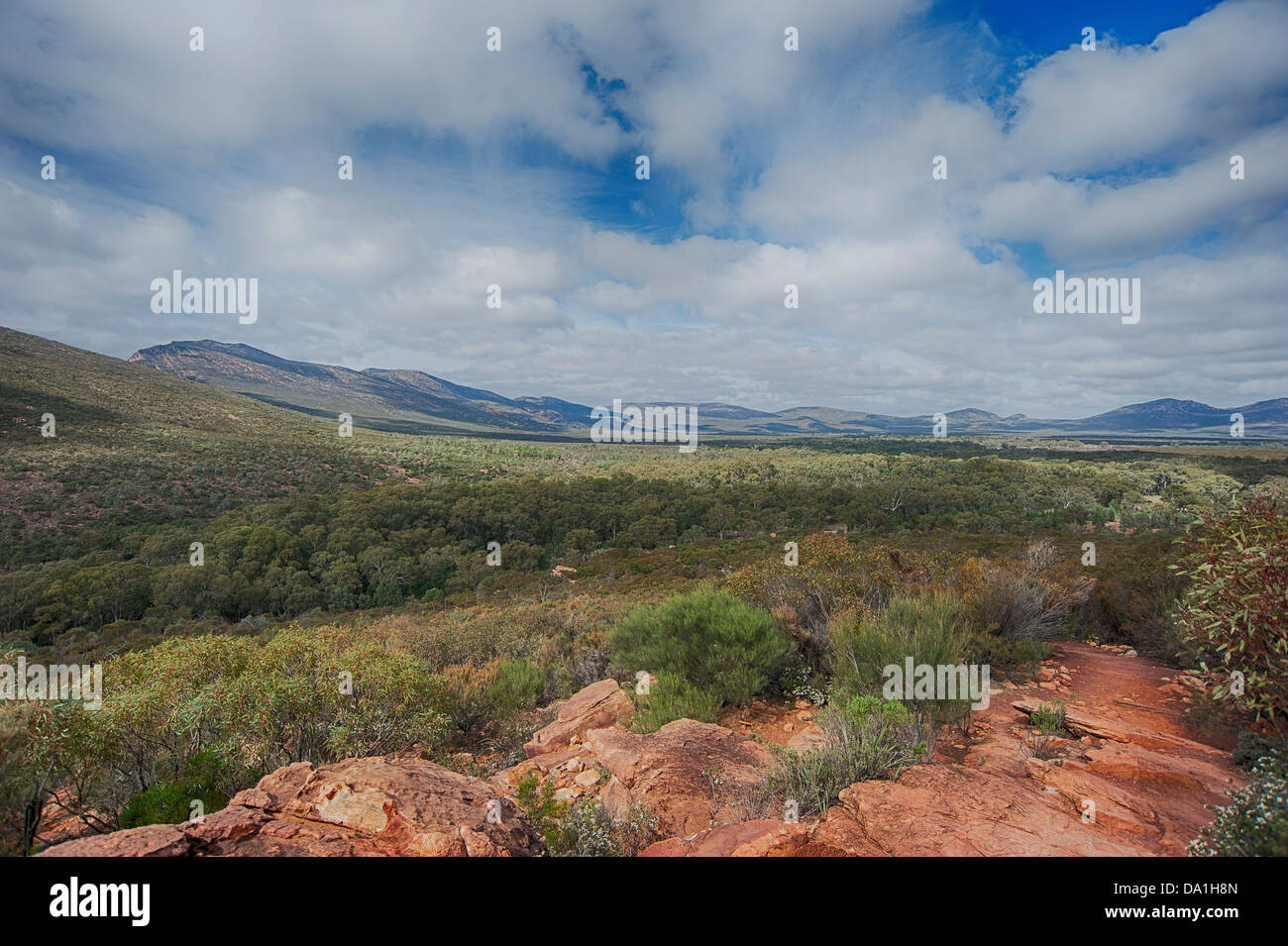 Wilpena Pound in die raue, schöne Flinders Ranges im australischen Outback. Stockfoto