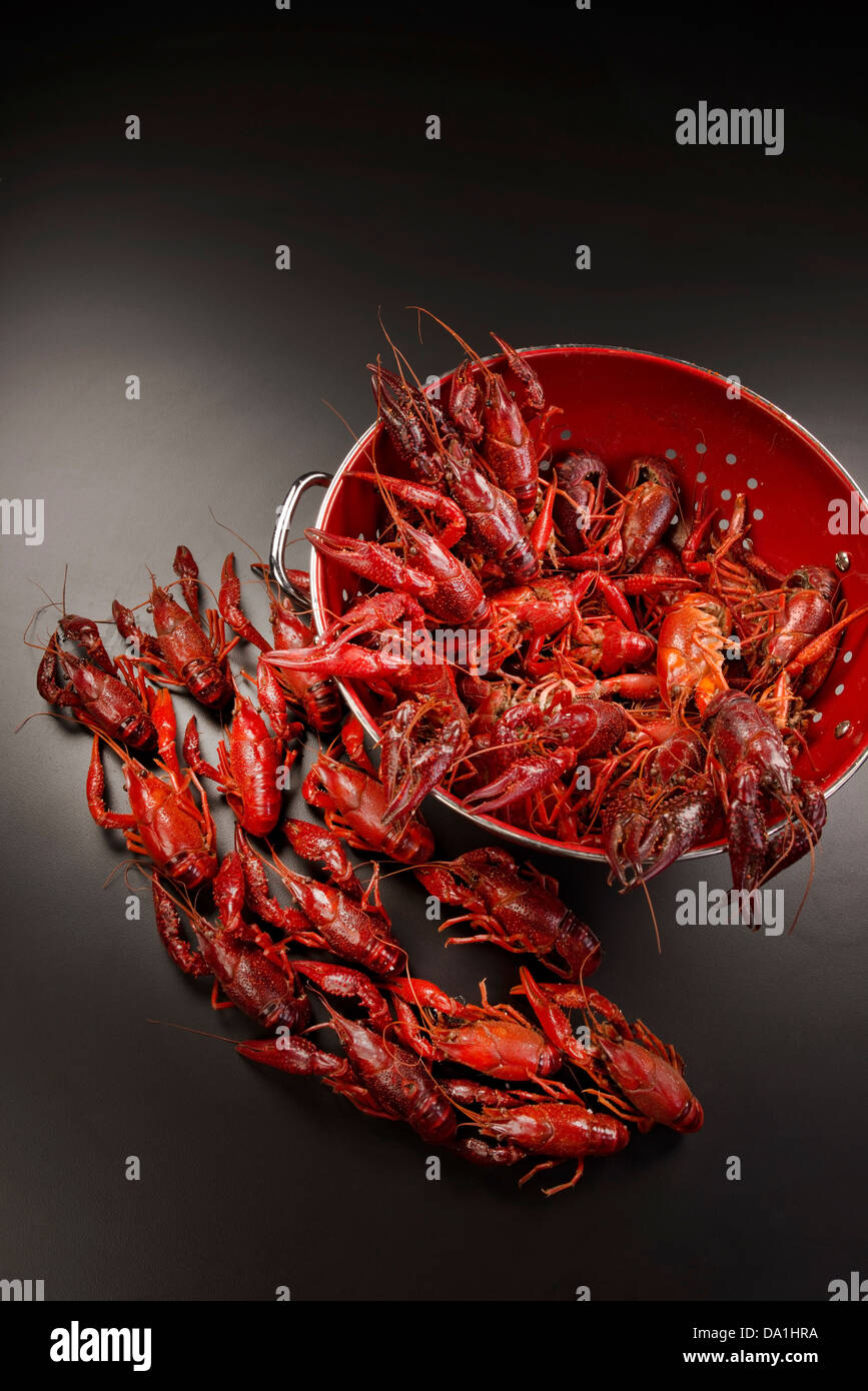 Gekochte Cray Fisch zum Verzehr bereit. Stockfoto