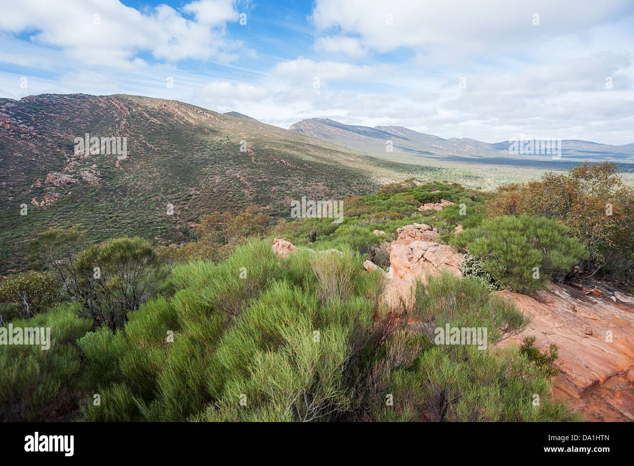 Wilpena Pound in die raue, schöne Flinders Ranges im australischen Outback. Stockfoto