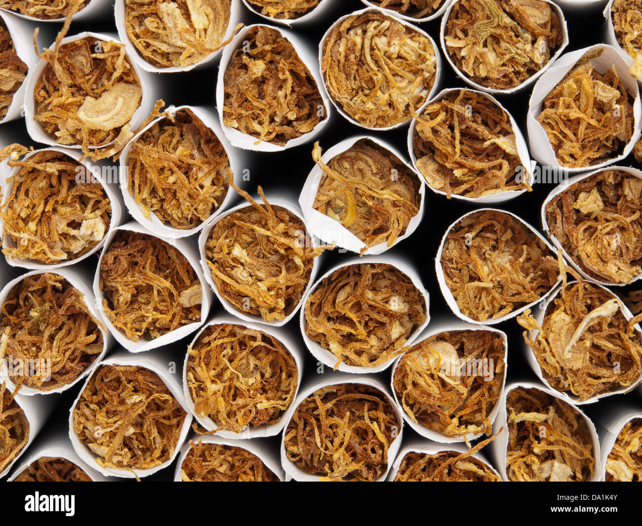 Makro-Vorderansicht der Tabak in Zigaretten. Stockfoto